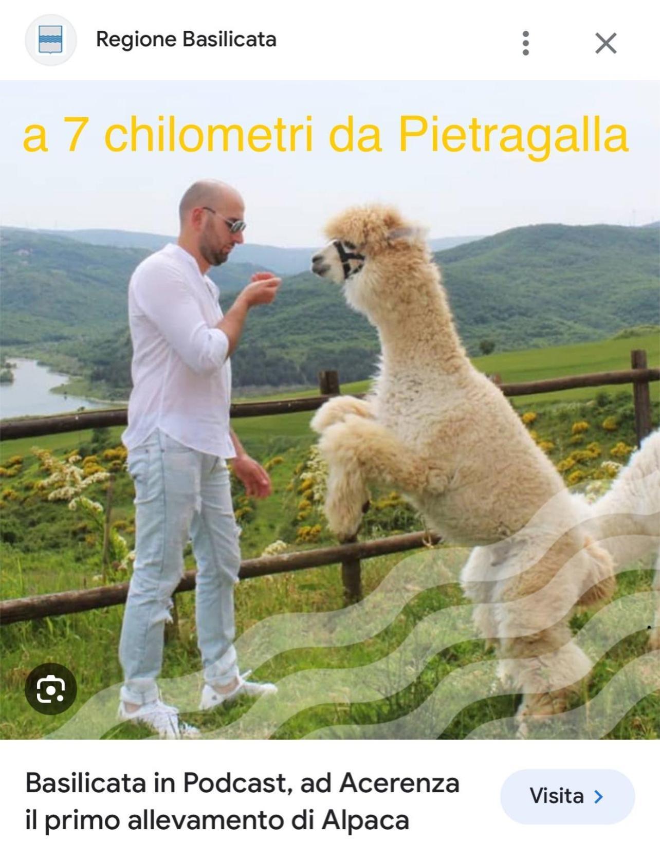 La Casa Dell'Artista Di Vittorio Vertone Pietragalla Esterno foto