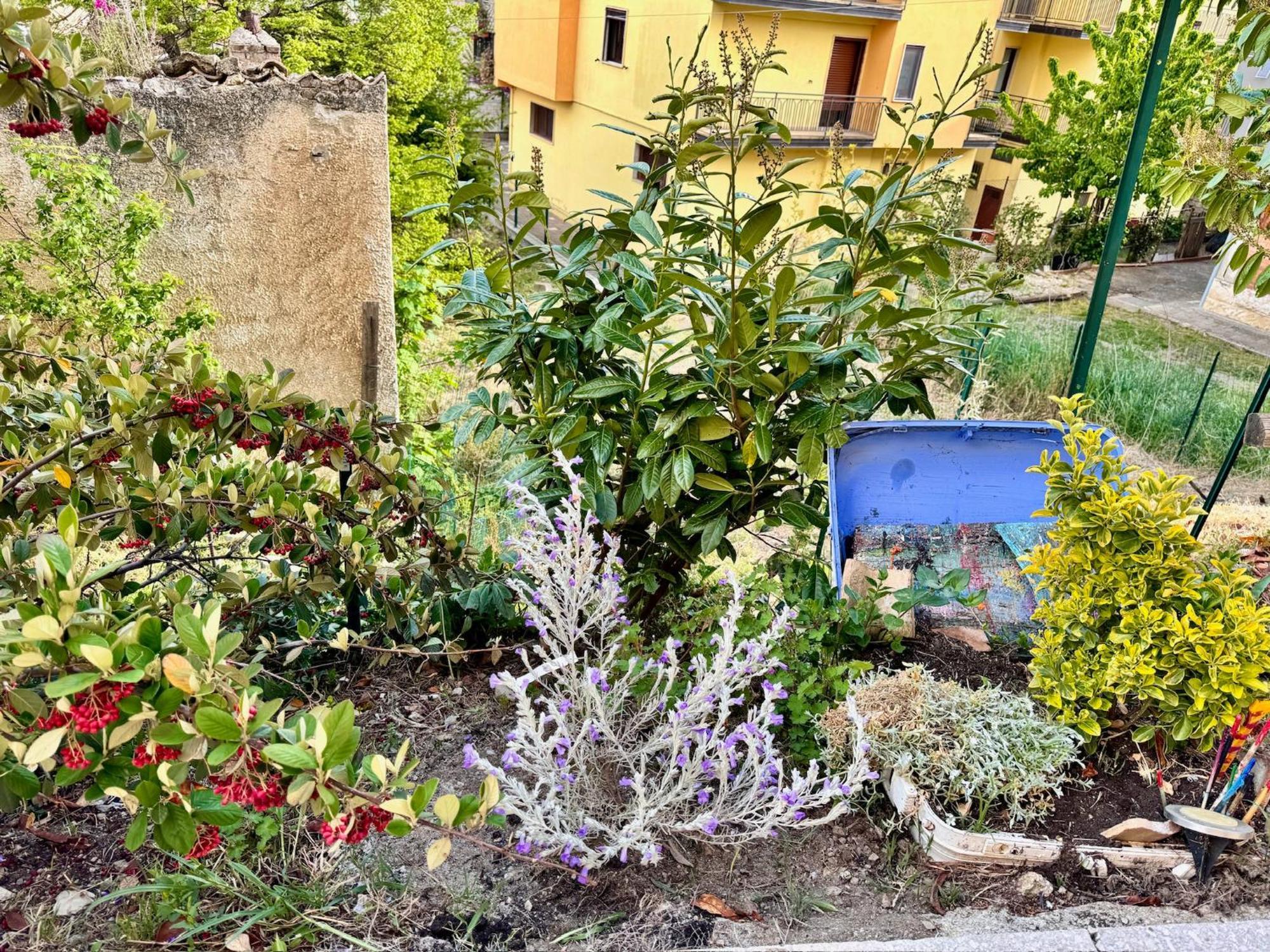 La Casa Dell'Artista Di Vittorio Vertone Pietragalla Esterno foto